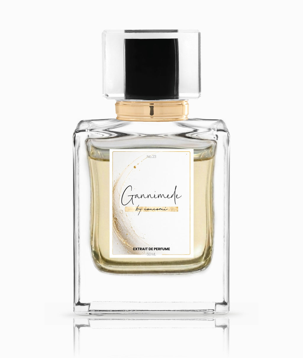 GANNIMEDE