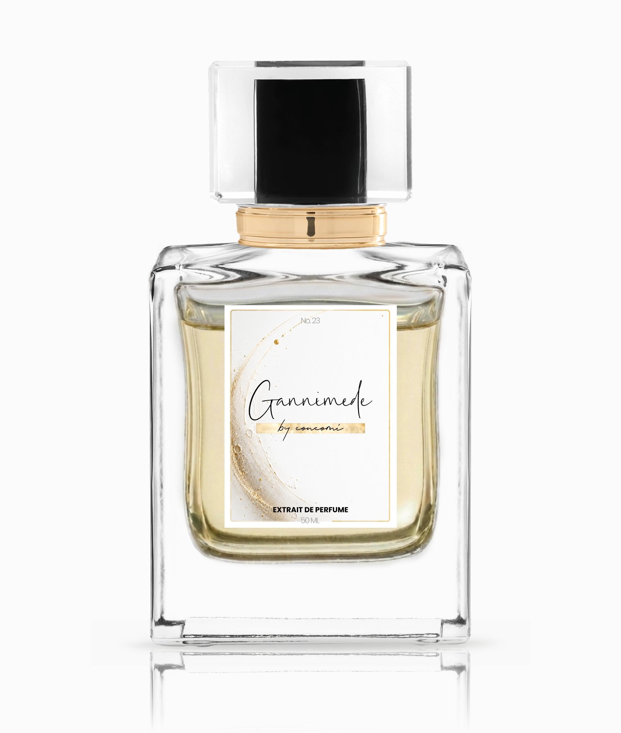 GANNIMEDE