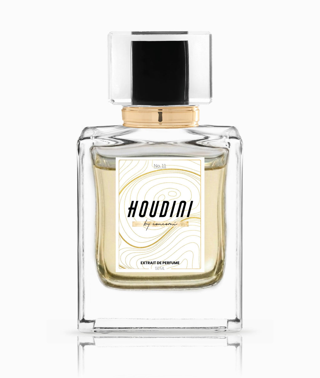 HOUDINI