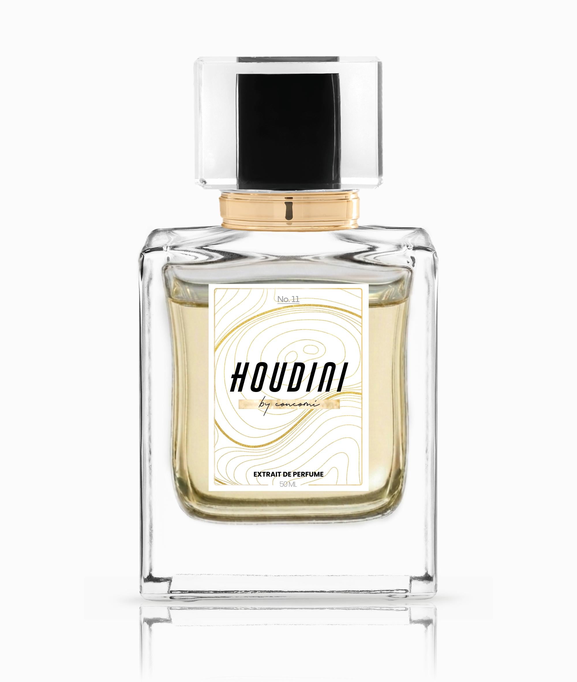 HOUDINI